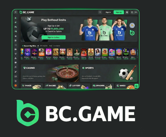 Step-by-Step Guide to the BC.Game Registration Process -293482932 Step-by-Step Guide to the BC.Game Registration Process -293482932
